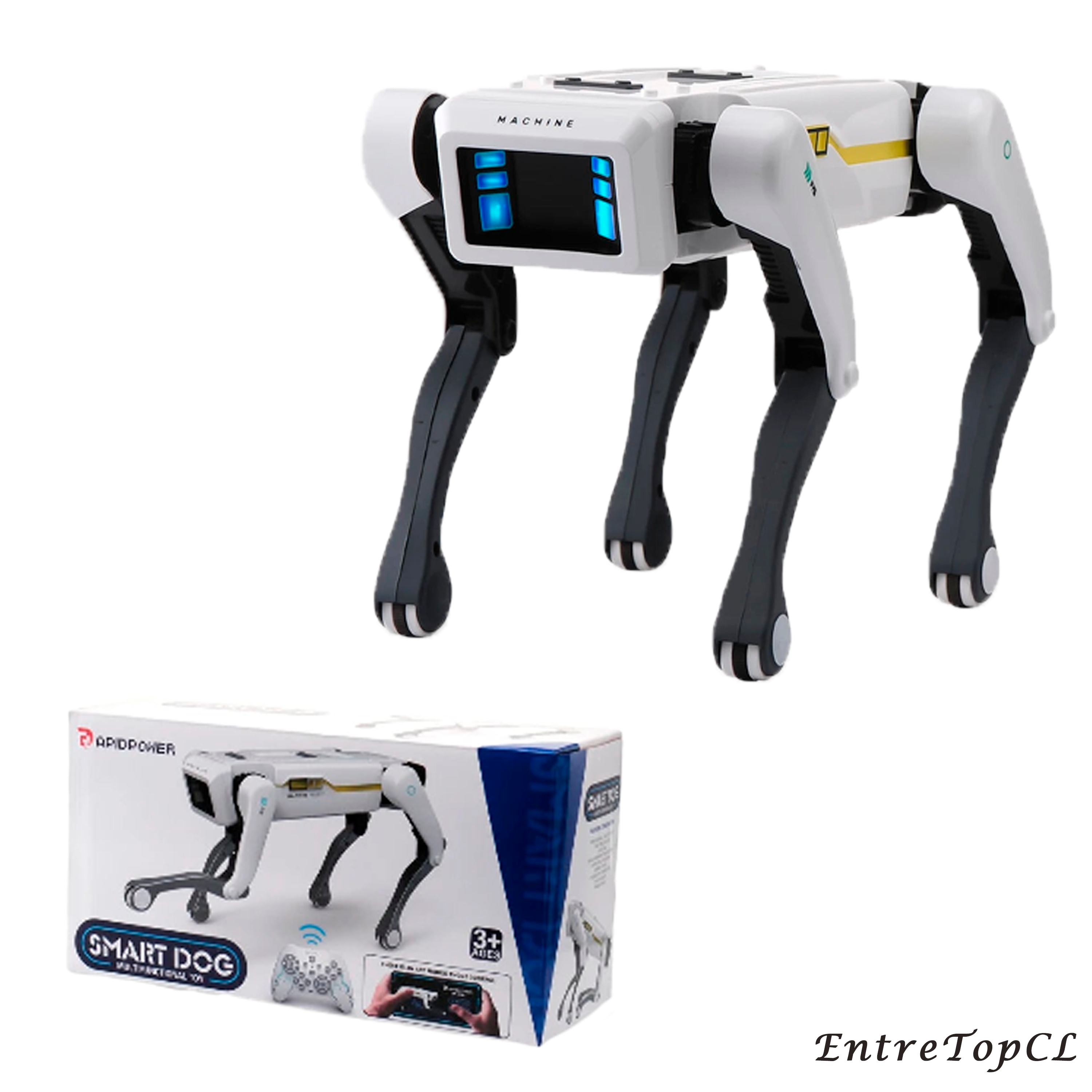 RoDog